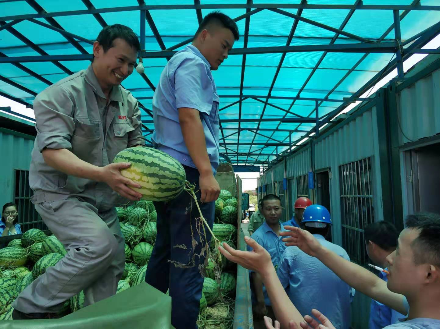 1564054971409091.jpg 1564054971409091.jpg